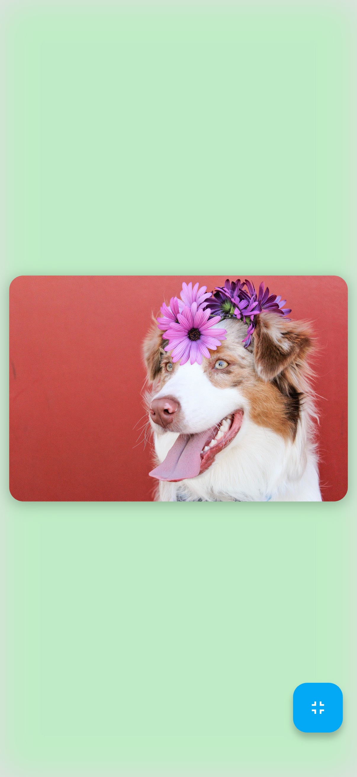 BreatheCute App Screenshot 2